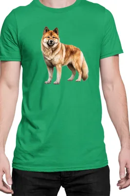 Obrázok produktu pre Mužské Tričko Dogs Breeds Akita Dog Breed 006, Man L / zelená