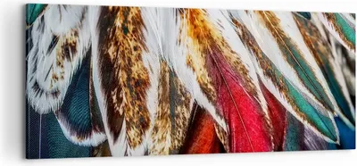 Produktbild von Bild auf Leinwand - Leinwandbild - Federn Federn Vogel - 100x40cm - Wand Bild - Wanddeko - Leinwanddruck - Bilder - Kunstdruck - Wanddekoration - Leinwand bilder - Wandkunst - AB100x40-3743