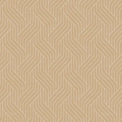 Obrázek produktu pro Dunisoft Servietten Woven ecoecho 40x40cm 60 Stück 1er Pack