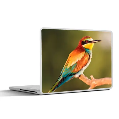 Produktbild von MuchoWow® Laptop Aufkleber Sticker Cover Vögel - Bienenfresser - Regenbogen - Tiere 32.5x23.5 cm - Sticker für Laptop - Selbstklebend