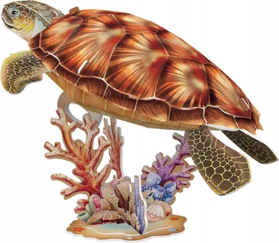 Image de DANTE Cube Fun Puzzle 3D Tortue de mer DS1080 10809