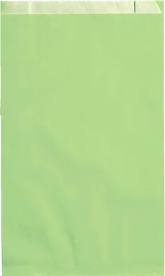 Produktbild von VP Faltenbeutel hellgrün 20,0 x 32,0 cm, 100 St.