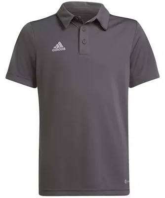 Productafbeelding van Poloshirt Adidas Entrada 22 "Team Grey Four" voor Kinderen