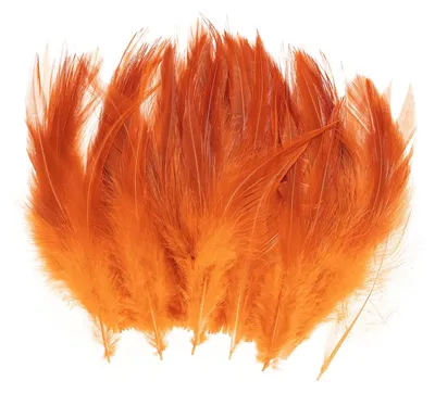 Produktbild von Sattelhackle und Hahnfedern - 10,2–15,2 cm Länge - Für Traumfänger und Ohrringe DIY - 100 Stück Orange