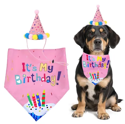 Produktbild von Hundehalsband und -hut-Set für Partys
