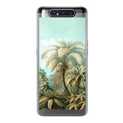 Produktbild von MuchoWow® Handyhülle Schutzhülle Hülle für Samsung Galaxy A80 Filicinae - Haeckel - Alte Meister Silikon Softcase Handy Hülle - Schutzdeckel