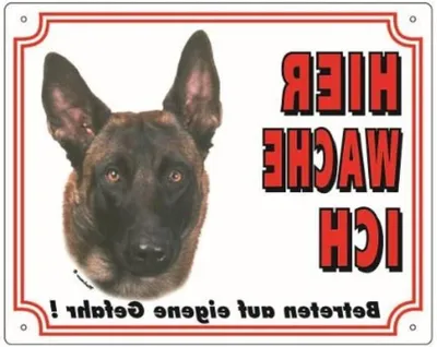 Productafbeelding van Waarschuwingsbord Malinois - Hondenbord Huis - Huis Beveiligen - Hier Wacht Ik Opschrift - 250x200 mm - Geel