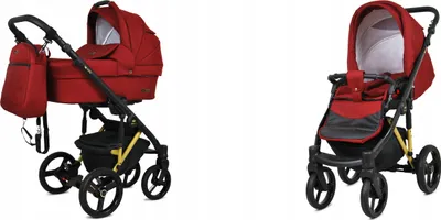 Immagine prodotto di 2in1 BabyLux UZO GOLD CHIL