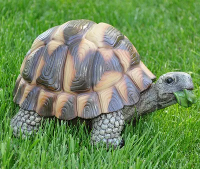 Produktbild von Dekofigur Gartenfigur Teichfigur Schildkröte