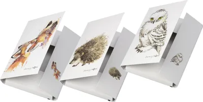 Produktbild von Pagna Sammelbox A4 Save me No.2 Gummizugverschluss sortiert