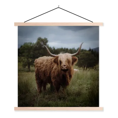 Produktbild von MuchoWow® Textilposter Schottischer Highlander - Tiere - Kuh 60x60 cm mit holzfarbenen Rahmen - Wanddekoration