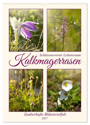 Produktbild von Kalkmagerrasen (Wandkalender 2027 DIN A2 hoch), CALVENDO Monatskalender