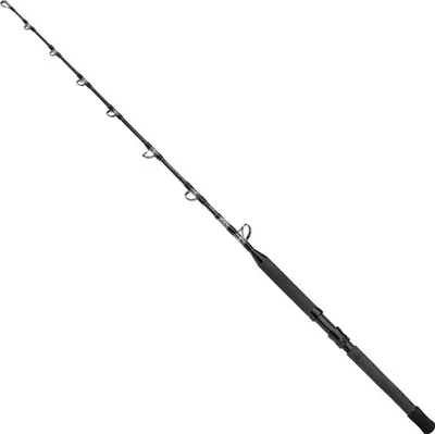 Produktbild von Shimano Fishing Tyrnos B Stand Up Spiral Bootsrute Silber 1.65 m / 50 Lbs Silber 1.65 m