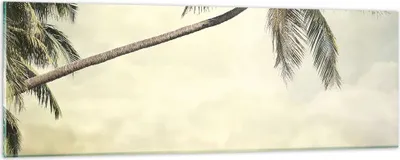 Produktbild von Bilder auf glas - Einteilig - Palme Strand Insel - 90x30cm - Glasbilder - Wandbilder - Bilder - zum Aufhängen bereit - Wanddekoration aus Glas - Glas Bilder - Wandbild auf Glas - GAB90x30-4154