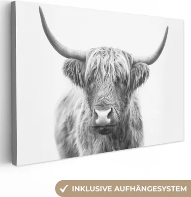 Produktbild von OneMillionCanvasses® - Leinwandbilder - 150x100 cm, Schottisches Hochlandrind - Tiere - Hörner - Schwarz und weiß, Wandbilder Kunstdruck Wanddekoration - Hochland Rind - Kuh - Gemälde