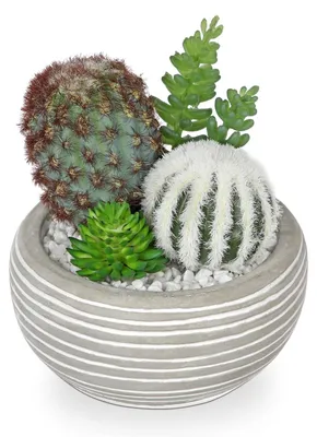 Productafbeelding van Omgoods - Kunstcactus in Pot voor Interieurdecoratie