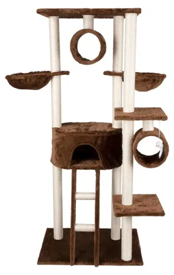 Produktbild von Katzenbaum mit Kratzbaum - 165 cm