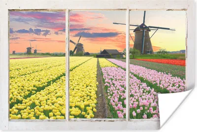 Produktbild von MuchoWow® Poster Ansicht - Tulpen - Mühle 90x60 cm - Schlafzimmer
