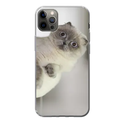 Produktbild von MuchoWow® Handyhülle Schutzhülle Hülle für iPhone 12 Pro Max Katze - Tier - Wohnzimmer Silikon Softcase Handy Hülle - Hartschale