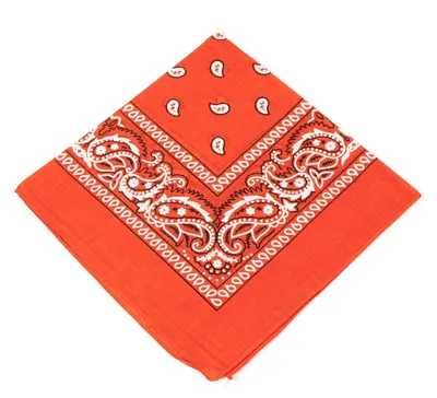 Obrázok produktu pre Boolavard, 1, 6, 9 alebo 12 kusov: Cowboy bandana, šatovka s originálnym vzorom Paisley