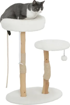 Image de PawHut Arbre à chat, 85 cm, arbre à grimper, avec lit, poteaux à griffer, plateforme de saut, balle et corde de jeu, pour intérieur, blanc