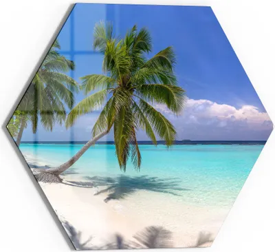 Produktbild von DEQORI Glasbild Echtglas 55x48 cm 'Paradiesischer Strand' Wandbild Bild modern Deko