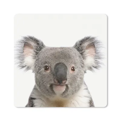 Produktbild von MuchoWow® Mauspad Mousepad Koala - Koala Bär - Mädchen - Jungen - Tiere 30x30 cm - Mousepads - Maus Mat - Pad - Mausunterlage - Gaming