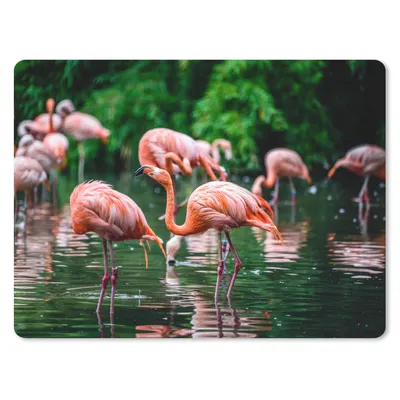 Produktbild von MuchoWow® Mauspad Mousepad Flamingo - Tropisch - Vogel - Wasser - Rosa 23x19 cm - Mousepads - Maus Mat - Pad - Mausunterlage - Schreibtischunterlage - Mauspad