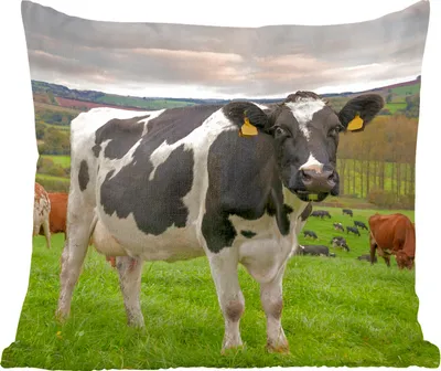 Produktbild von MuchoWow® Zierkissen Sofakissen Wohnzimmer Dekokissen 50x50 cm Kuh - Berg - Gras - Tiere - Komfort - Sofakissen