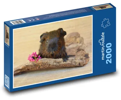 Obrázek produktu pro Puzzle 2000 Morče s Květinou - martinpuzzle