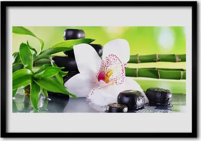 Produktbild von Bild 70x50 MDF-Rahmen Wandkunst Orchid Bambus-Blätter