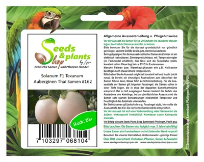 Produktbild von 10x Solanum F1 Texanum Auberginen Thai Gemüse Pflanzen - Samen #162