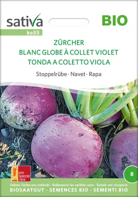 Produktbild von Stoppelrübe Zürcher | Rübensamen von Sativa Rheinau