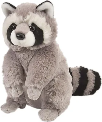 Produktbild von Wild Republic Plusch Waschbar - 30 cm - Waschbar Tiere