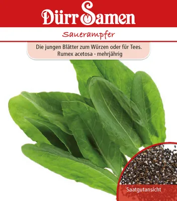 Produktbild von Dürr-Samen - Sauerampfer - Saatgut - 0196