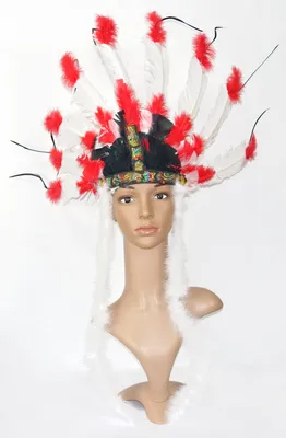 Produktbild von Wilder Western Feder-Kopfschmuck