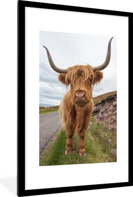 Produktbild von MuchoWow® Gerahmtes Poster Schottischer Hochländer - Kuh - Landschaft 60x90 cm - Poster mit Schwarzem Bilderrahmen Wandposter Rahmen Foto Bilder - Dekoration - Wandposter Wohnzimmer - Hochwertig