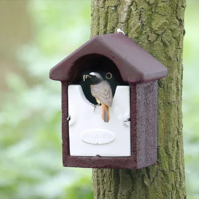 Produktbild von CJ Wildlife Nistkasten - halboffen Barcelona - WoodStone (Holzbeton) - 18,5x10x10,5cm - für Rotkehlchen & Zaunkönige - Braun - 3x haltbar