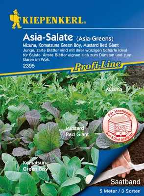 Produktbild von [STREICHUNG 2025] Asia - Salate (Saatband) | Asiasalatsamen von Kiepenkerl
