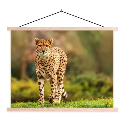 Produktbild von MuchoWow® Textilposter Wildtiere - Gras - Leopard - Natur 40x30 cm mit holzfarbenen Rahmen - Bilder