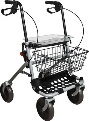 Produktbild von Rollator Basic Pieghevole in Acciaio con 4 Ruote Ø 20 cm