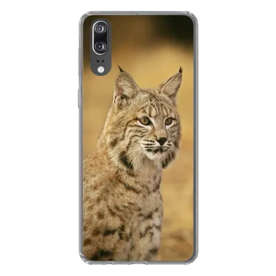 Produktbild von MuchoWow® Handyhülle Schutzhülle Hülle für Huawei P20 Luchs - Braun - Gras Silikon Softcase Handy Hülle - Hardcover