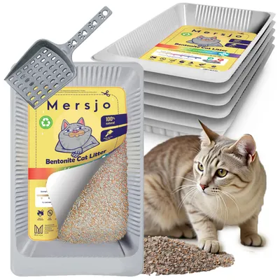 Obrázok produktu pre 5x jednorázový box pre mačky PH CONTROL, s bentonitovou podstielkou 5x2,7l + lopatka