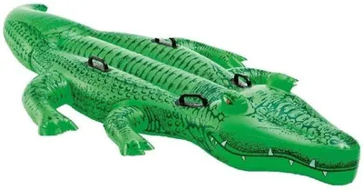 Produktbild von Intex 58562NP, Tiere, 3 Jahr(e), Vinyl, Grün