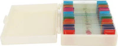 Zdjęcie produktu dla 25Pcs Prepared Glass Slides High Definition Insect Animal Plant Specimens for Biology Education