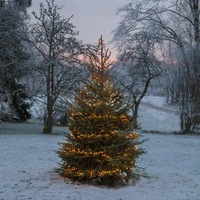 Immagine prodotto di Catena luminosa a LED - Serie GOLDEN LED - 1200 LED bianco caldo intenso - Lunghezza: 24 metri - Cavo nero - Adatta per uso esterno