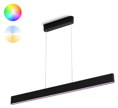 Productafbeelding van Philips 929003052501 Philips Hue Ensis pendant black 2x39W 24V