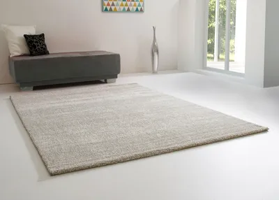 Produktbild von Hochflor Teppich Tarkan in Silber, Größe: 160x230 cm