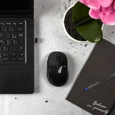 Image de Souris Optique Sans Fil