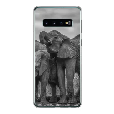Produktbild von MuchoWow® Handyhülle Schutzhülle Hülle für Samsung Galaxy S10 Elefant - Tiere - Wasser - Schwarz und weiß Silikon Softcase Handy Hülle - Handytasche